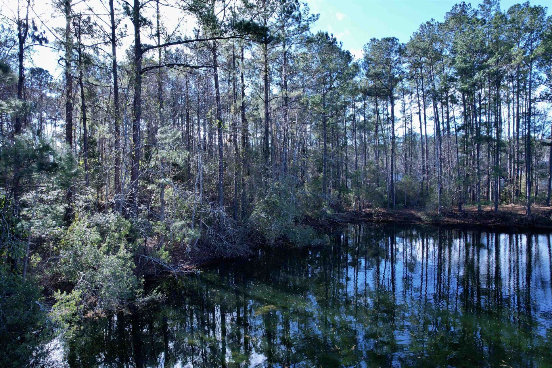22 Lots - Goelet Ct.  Photo 11