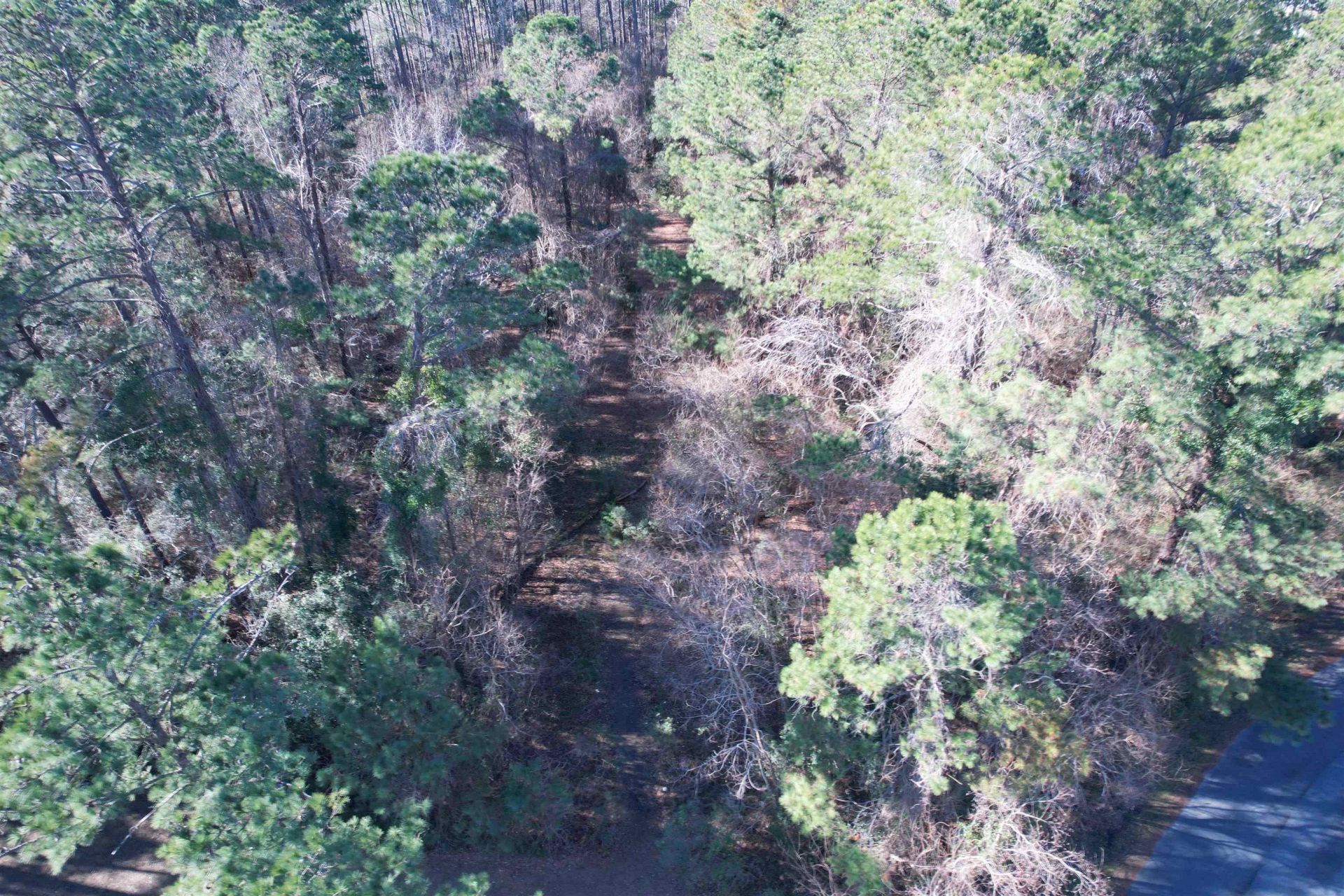 22 Lots - Goelet Ct.  Photo 14