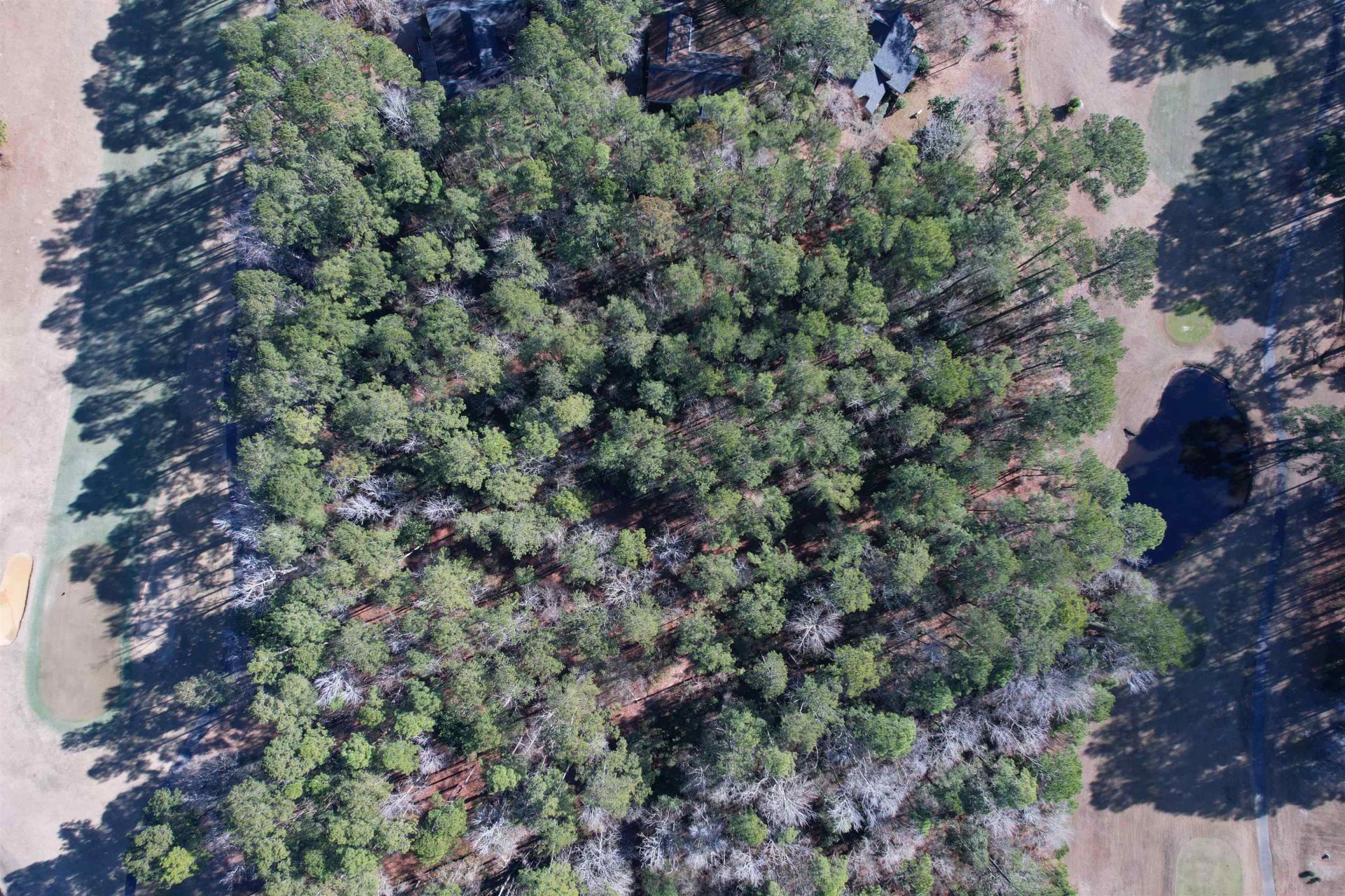 22 Lots - Goelet Ct.  Photo 18