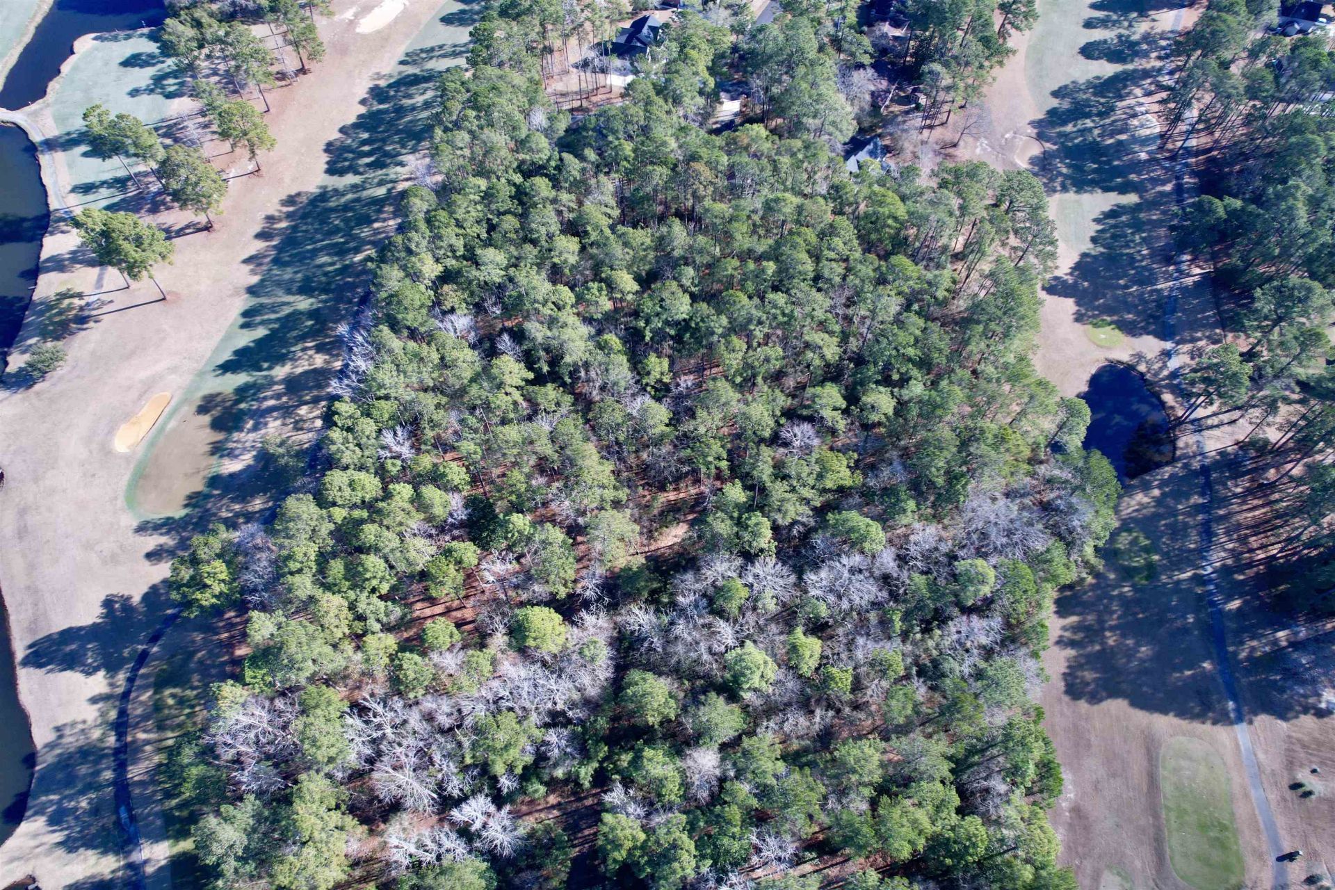 22 Lots - Goelet Ct.  Photo 19