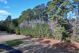 22 Lots - Goelet Ct.  photo 4