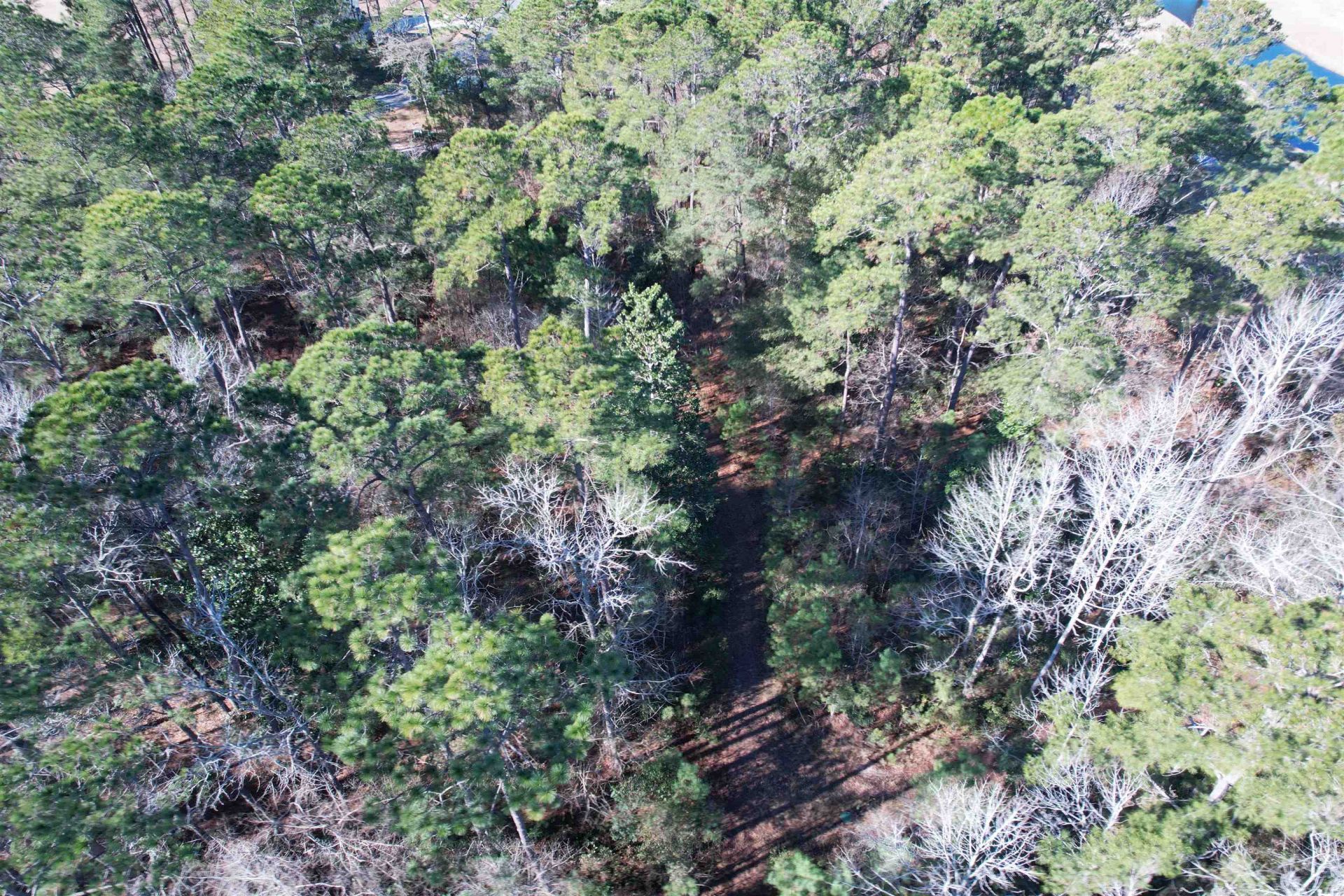 22 Lots - Goelet Ct.  Photo 22