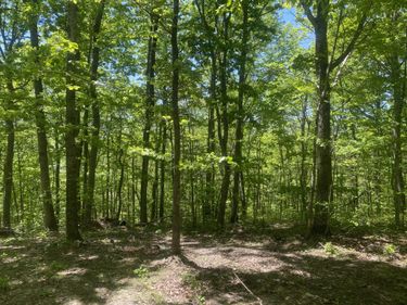 532 Rogers Lane, McKee, KY 40447