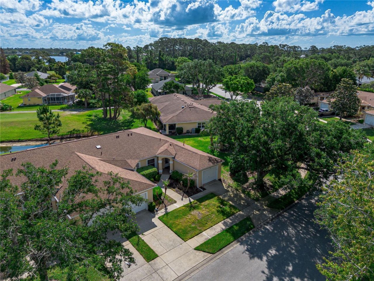 1809 Turnbull Lakes Drive, New Smyrna Beach, FL 32168 Photo