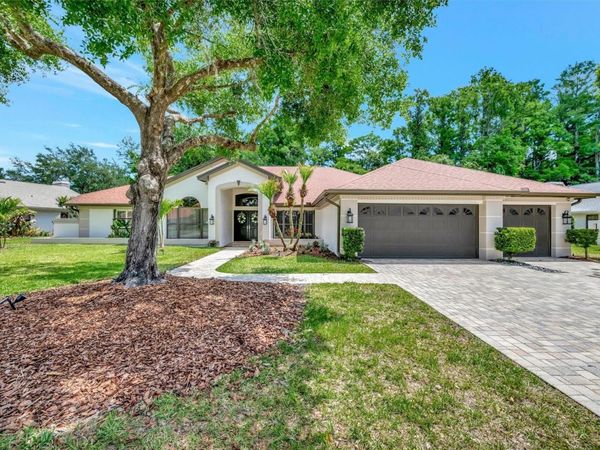 15507 FENTRESS COURT, TAMPA, FL 33647