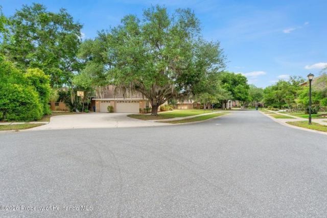 6153 New Osprey Point, Spring Hill, FL 34607 Photo