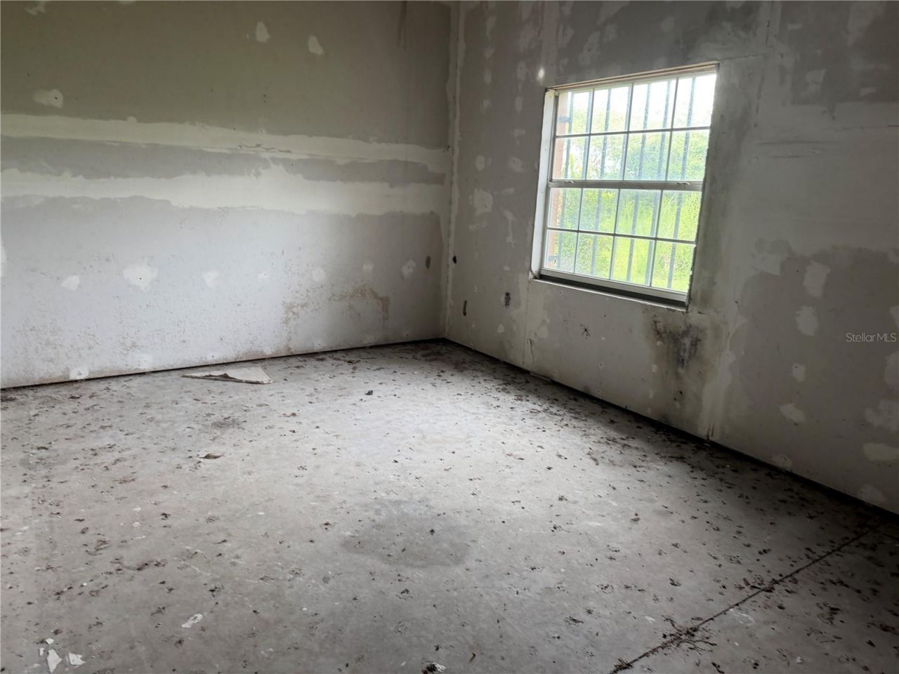 Adams Barn Road, Auburndale, FL 33823 Photo