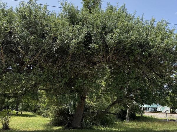 0 Henderson Avenue, Pass Christian, MS 39571