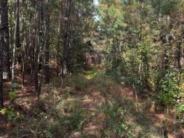 230 Dodgen Road , Hampton, GA 30228