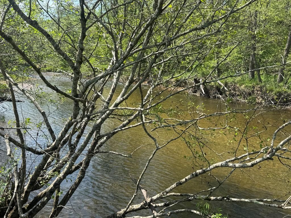 Lot 25 White Pine Trail, Suches, GA 30572 Main Photo