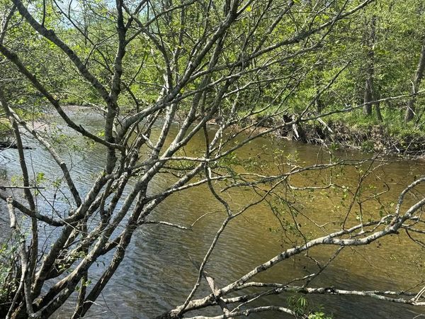 Lot 25 White Pine Trail, Suches, GA 30572