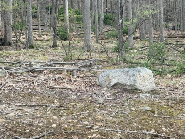 217 Muskegon Circle, Hazle Twp, PA 18202