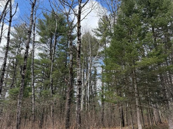 Lot 98 Balsam Court, Cable, WI 54821
