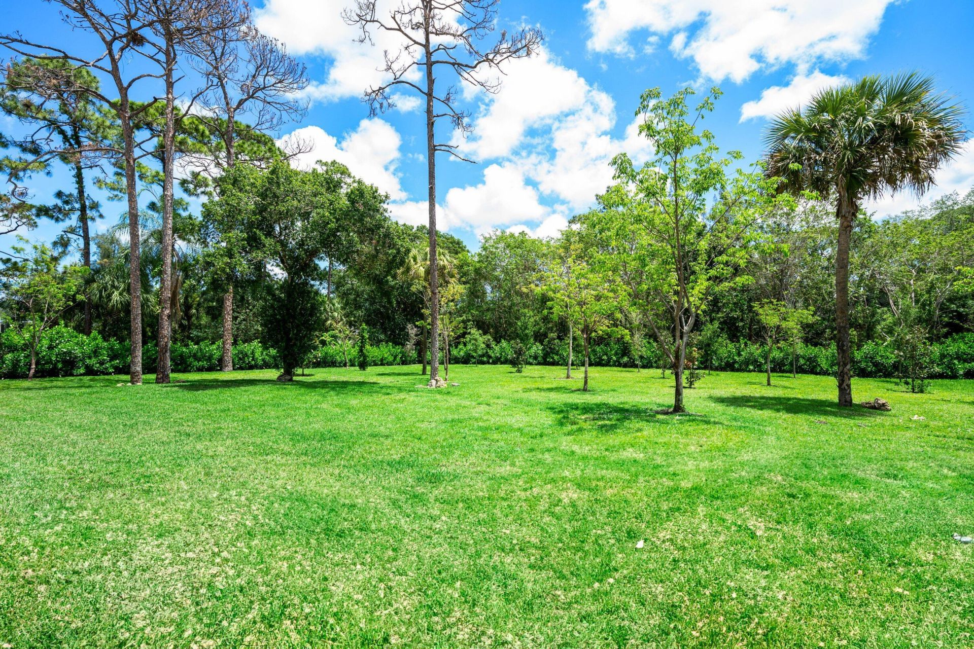 6602 NW 62nd Terrace, Parkland, FL 33067 Photo