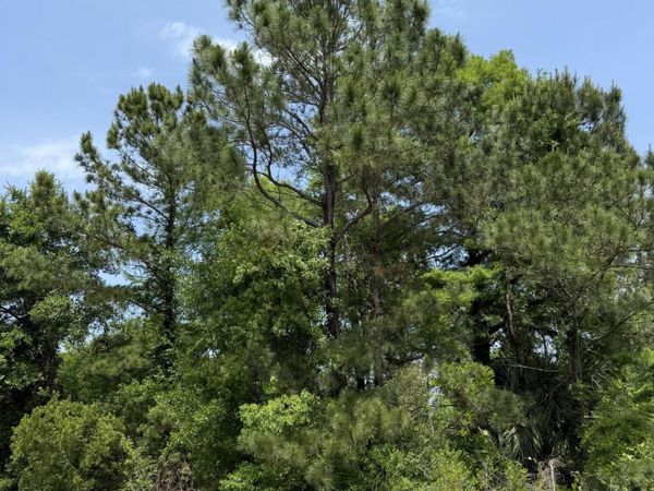 West End Road, Pass Christian, MS 39571