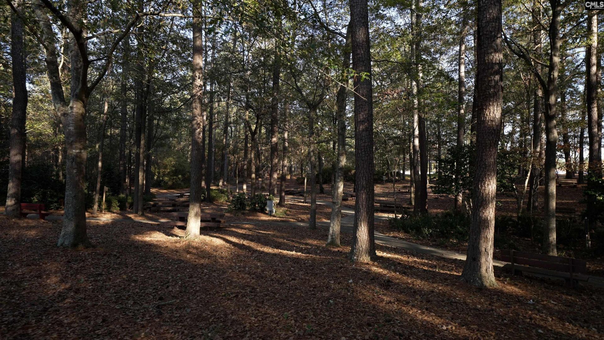 785 Ben Gunn Run  Photo 24