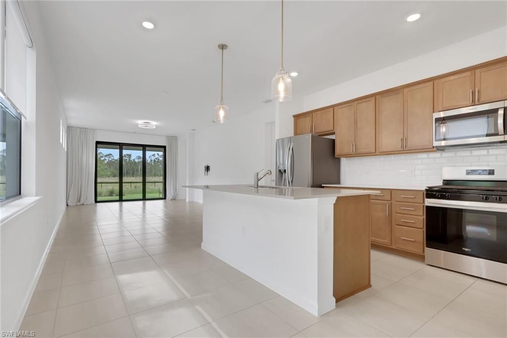 20789 Napa Loop, Estero, FL 33928 Photo