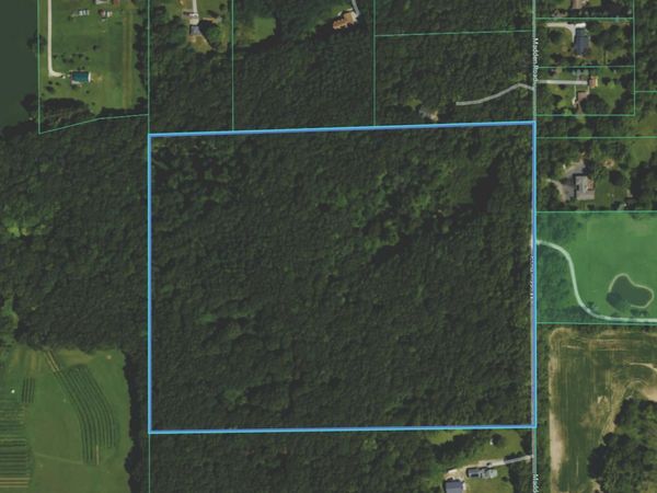Madden Road, Dexter, MI 48130