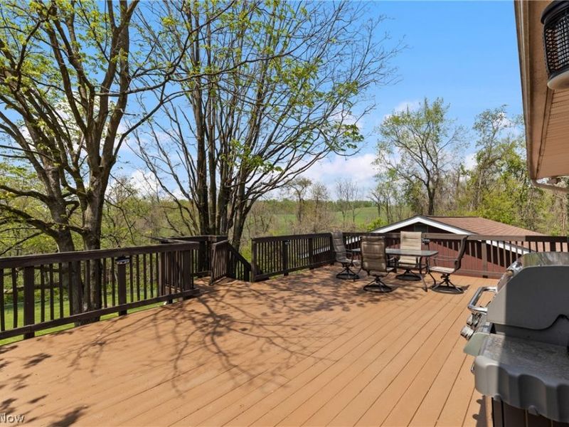 71770 Chini Orchard Road, Flushing, OH 43977 Photo 33