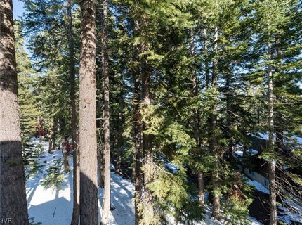 1021 Dorcey Dr, Incline Village, NV 89451 Photo