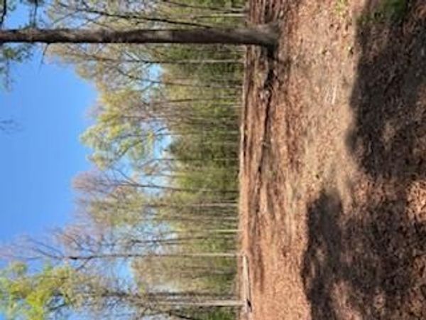 731 Remington Rd, Jamestown, TN 38556