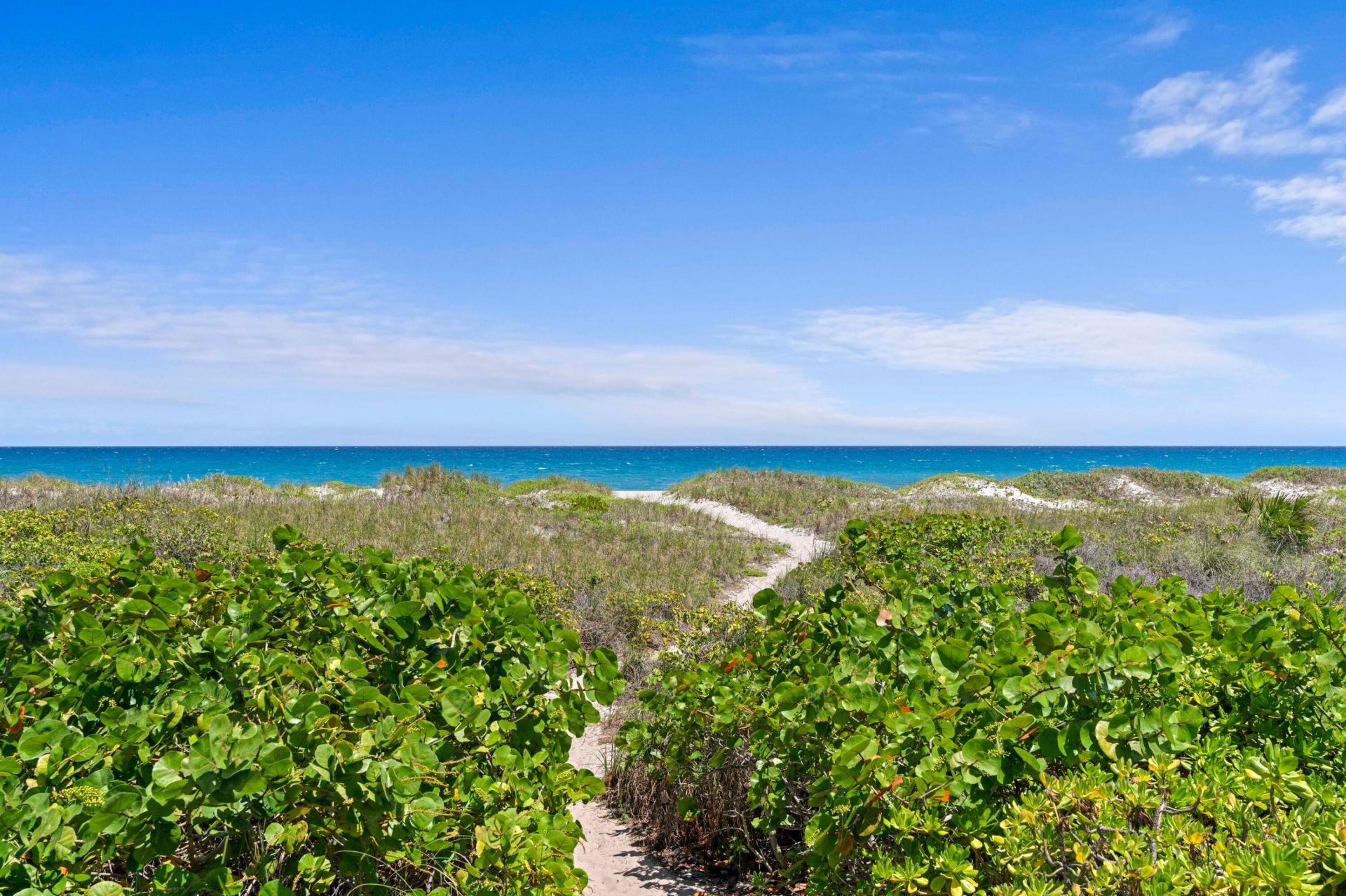1554 N Ocean Way, Palm Beach, FL 33480 Photo