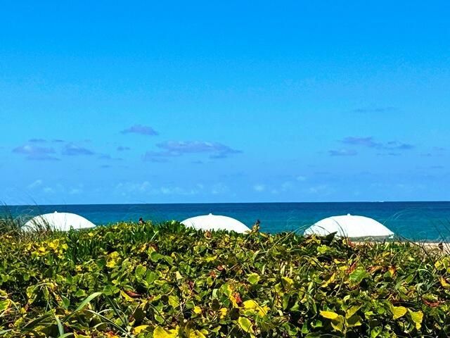 2560 S Ocean Boulevard, Unit 603, Palm Beach, FL 33480 Photo