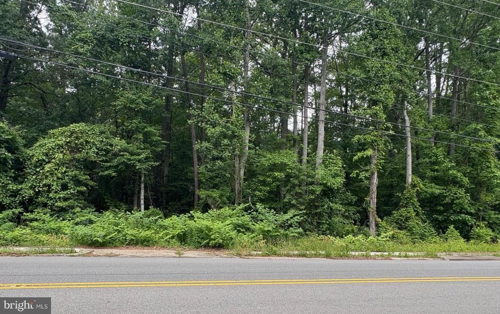 0 Jessie Dupont Memorial Hwy, Heathsville, VA 22473 Main Photo
