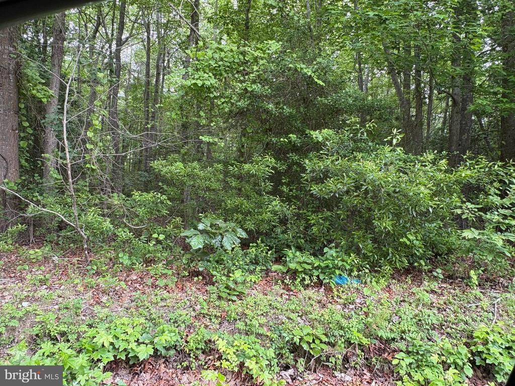 00 Bogey Neck Rd, Lot #43-1-2A, Heathsville, VA 22473 Main Photo