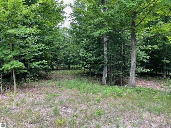 11 Timber View Trail W, Empire, MI 49630