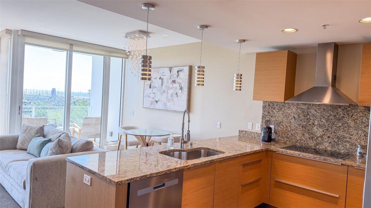 175 1st Street S, Unit 511, Saint Petersburg, FL 33701 Photo