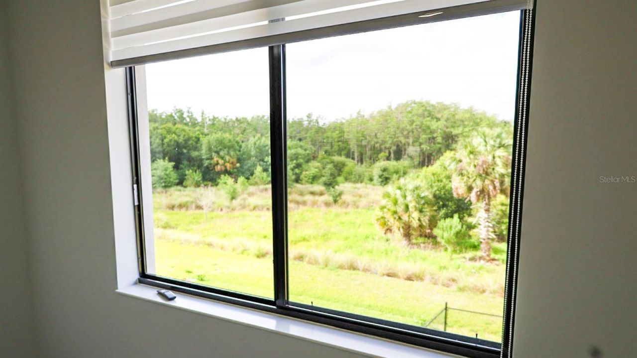 5868 Agostino Way, Ave Maria, FL 34142 Photo