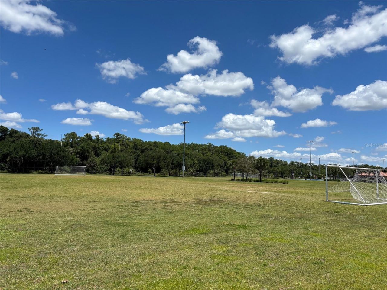 5868 Agostino Way, Ave Maria, FL 34142 Photo