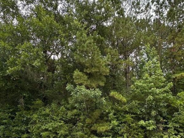 Mississippi 613 , Moss Point, MS 39562