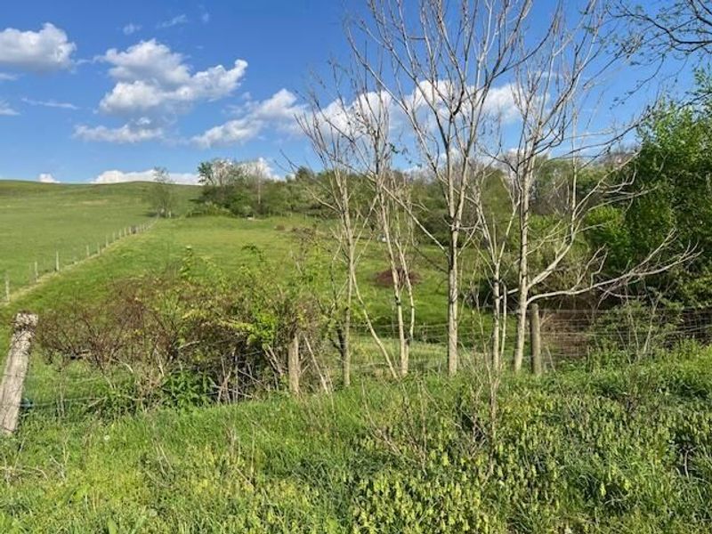 5470 N River Road E, Zanesville, OH 43701 Photo 29