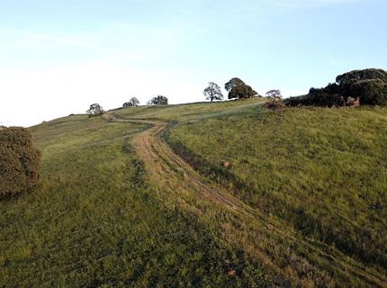 9830 New Chicago Rd, Drytown, CA 95699 Photo