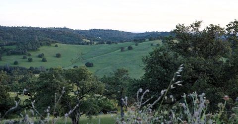 9830 New Chicago Rd, Drytown, CA 95699 Photo