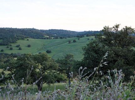9830 New Chicago Rd, Drytown, CA 95699 Photo