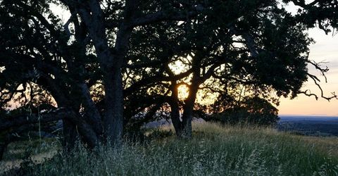 9830 New Chicago Rd, Drytown, CA 95699 Photo
