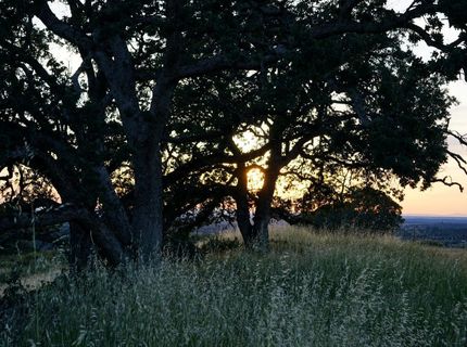 9830 New Chicago Rd, Drytown, CA 95699 Photo