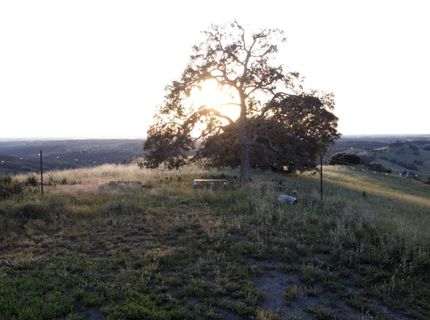 9830 New Chicago Rd, Drytown, CA 95699 Photo