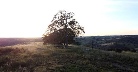 9830 New Chicago Rd, Drytown, CA 95699 Photo