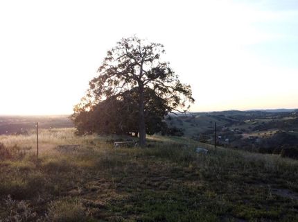 9830 New Chicago Rd, Drytown, CA 95699 Photo