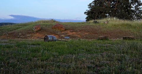 9830 New Chicago Rd, Drytown, CA 95699 Photo