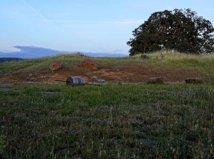 9830 New Chicago Rd, Drytown, CA 95699 Photo