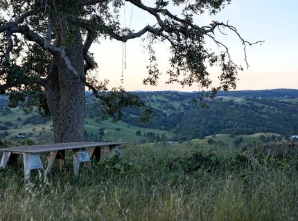 9830 New Chicago Rd, Drytown, CA 95699 Photo