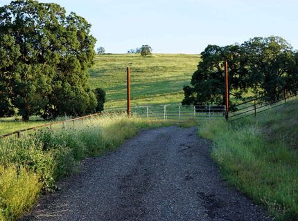 9830 New Chicago Rd, Drytown, CA 95699 Photo
