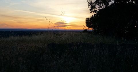 9830 New Chicago Rd, Drytown, CA 95699 Photo