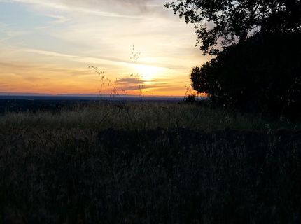 9830 New Chicago Rd, Drytown, CA 95699 Photo