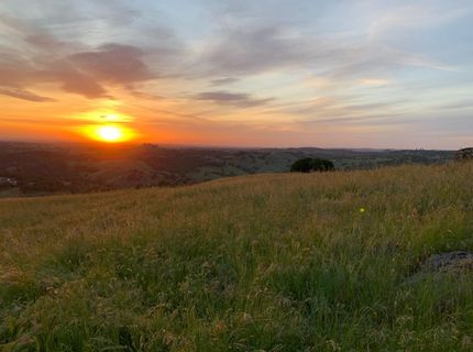 9830 New Chicago Rd, Drytown, CA 95699 Photo